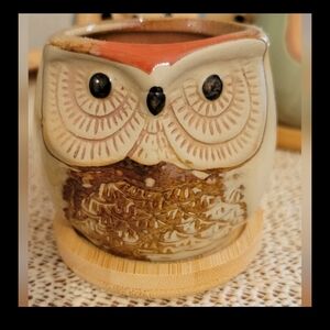 Small Owl Planter w/Saucer-Holes In Bottom Great for succulents Cute!